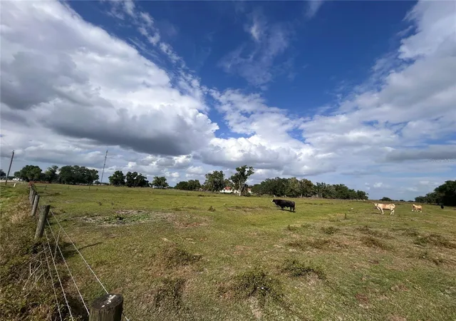 2nd image of Washington St, Arcadia, FL 34266 | MLS# A4687825