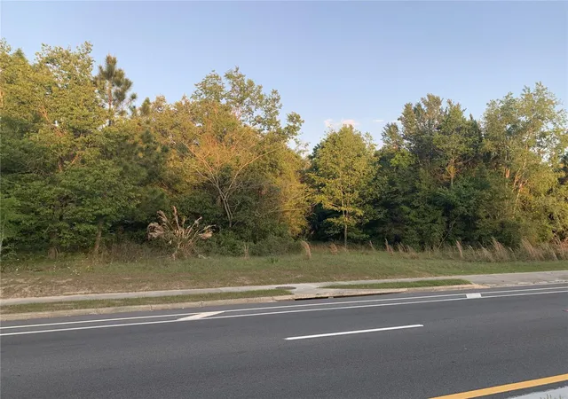 3rd image of 18111 N Us Hwy 301, Citra, FL 32113 | MLS# OM721659