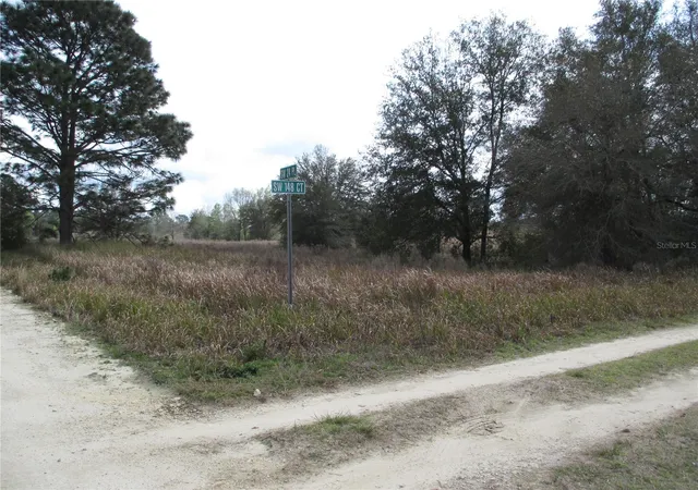 1st image of 0 Sw 24th Pl, Ocala, FL 34481 | MLS# TB8491466