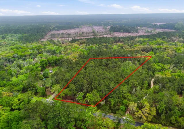 Photo 3 of Land for sale at Nw County Rd 231, Gainesville, FL 32609 | MLS# GC538920 | Listing updated on 2026-04-06