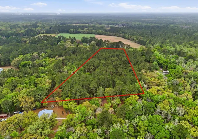 Photo 4 of Land for sale at NW County Rd 231, Gainesville, FL 32609 | MLS# GC538920 | Listing updated on 2026-04-06