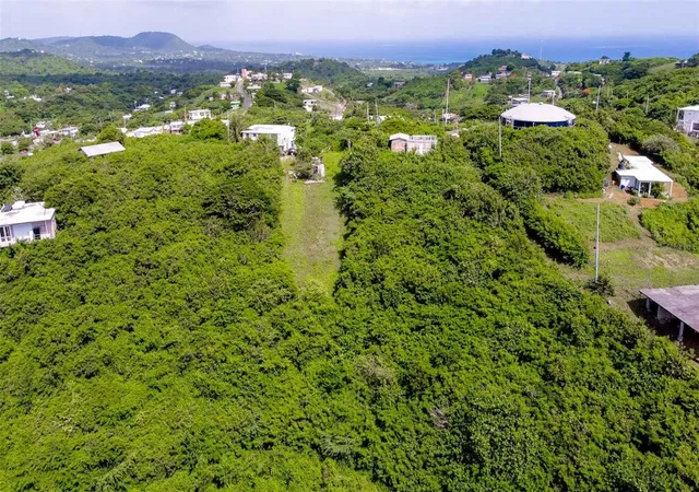 Homes for sale in Vieques, PR | 309 Calle Papo Foster, Vieques, PR 00765 | MLS# PR9120249