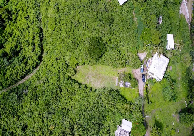 Homes for sale in Vieques, PR | 309 Calle Papo Foster, Vieques, PR 00765 | MLS# PR9120249