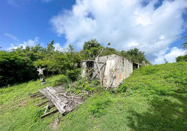 Homes for sale in Vieques, PR | 309 Calle Papo Foster, Vieques, PR 00765 | MLS# PR9120249