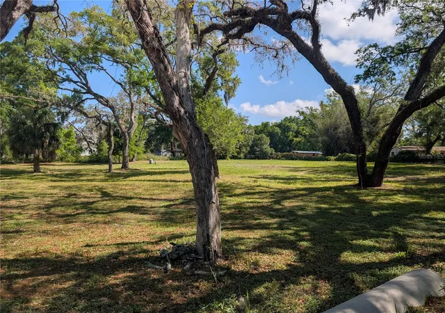 Photo 4 of Land for sale at 8519 Adonis Rd, New Port Richey, FL 34654 | MLS# W7884327 | Listing updated on 2026-09-01