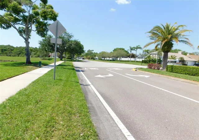 52nd image of 1720 Arabian Ln, Palm Harbor, FL 34685 | MLS# S5146728