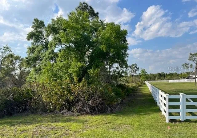 Photo 4 of Land for sale at 24005 83rd Avenue E, Myakka City, FL 34251 | MLS# TB8491634 | Listing updated on 2026-08-07