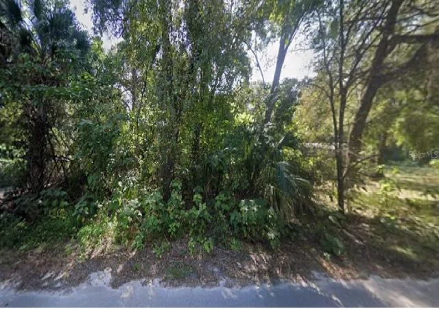 1st image of Ne 167th Pl, Citra, FL 32113 | MLS# R4910959
