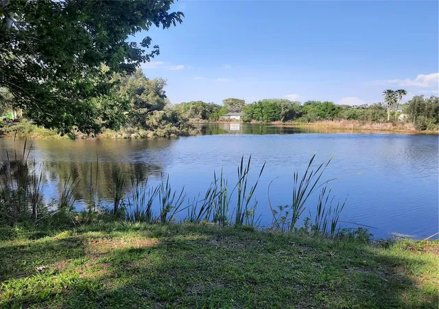 1st image of 10502 Hinds Pl, Odessa, FL 33556 | MLS# TB8491771
