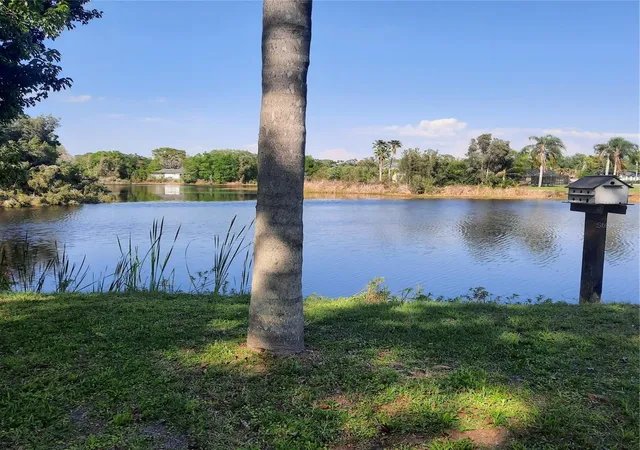 2nd image of 10502 Hinds Pl, Odessa, FL 33556 | MLS# TB8491771