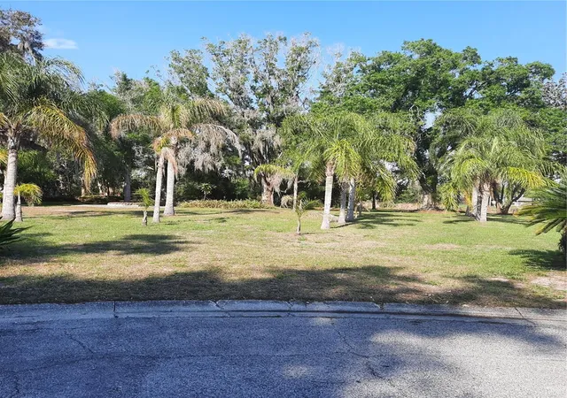 4th image of 10502 Hinds Pl, Odessa, FL 33556 | MLS# TB8491771