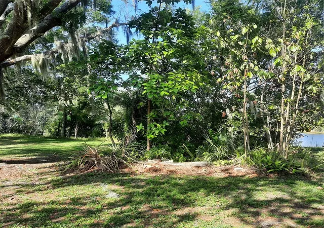 5th image of 10502 Hinds Pl, Odessa, FL 33556 | MLS# TB8491771