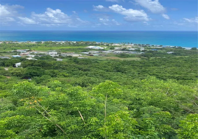 Homes for sale in Patillas, PR | Farm Amazing Ocean View, Patillas, PR 00723 | MLS# PR9120284