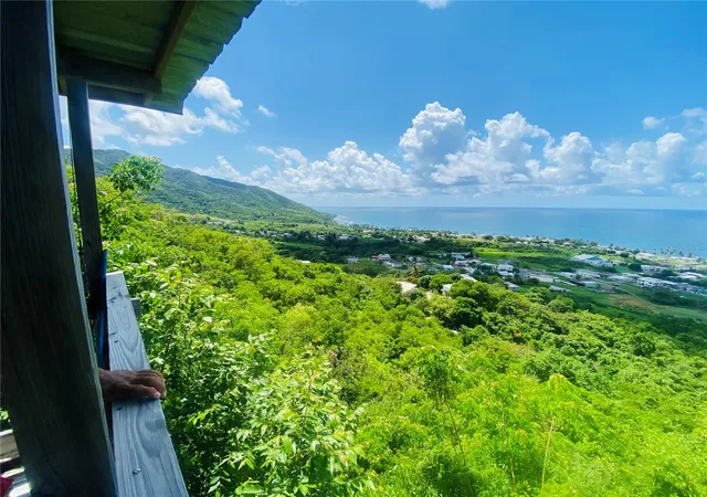 Photo 2 of Land for sale at Farm Amazing Ocean View, Patillas, PR 00723 | MLS# PR9120284 | Listing updated on 2026-08-17