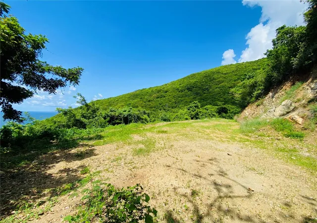 Photo 3 of Land for sale at Farm Amazing Ocean View, Patillas, PR 00723 | MLS# PR9120284 | Listing updated on 2026-08-17