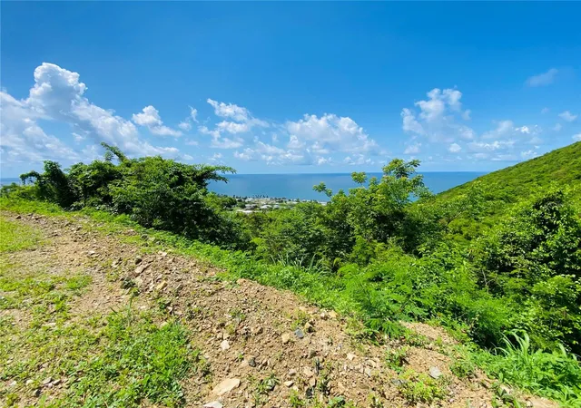 Photo 4 of Land for sale at Farm Amazing Ocean View, Patillas, PR 00723 | MLS# PR9120284 | Listing updated on 2026-08-17