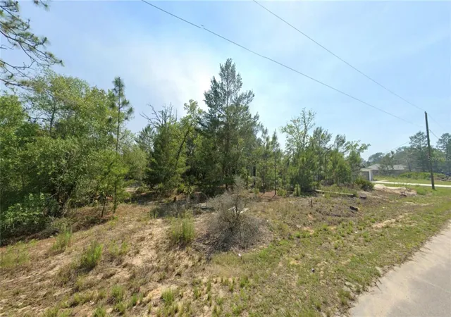 3rd image of Tbd Malauka Dr, Ocklawaha, FL 32179 | MLS# OM721748