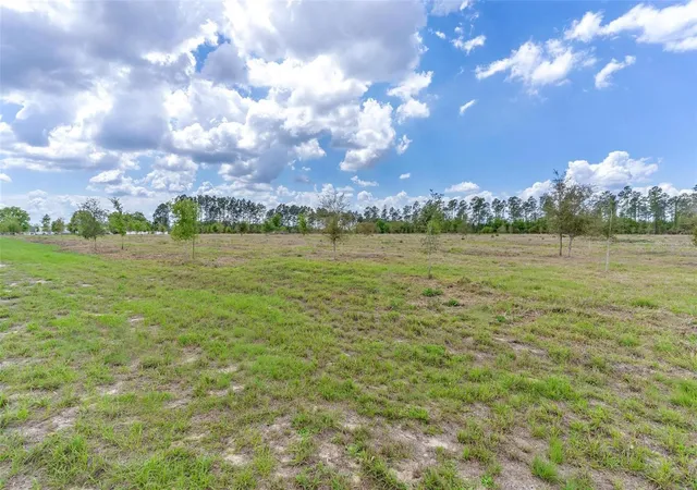 Homes for sale in Weirsdale, FL | Se 170th Ave, Weirsdale, FL 32195 | MLS# G5110297