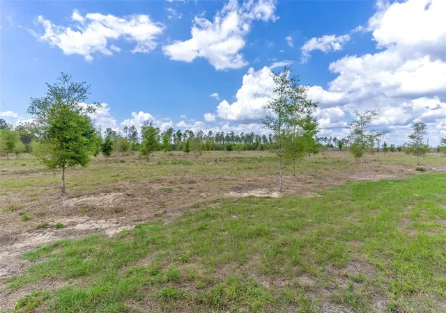 Homes for sale in Weirsdale, FL | Se 170th Ave, Weirsdale, FL 32195 | MLS# G5110297