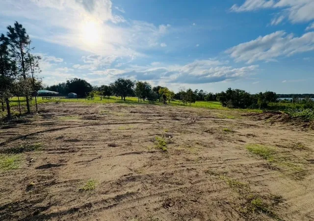 3rd image of 16865 Se 27Th Pl Rd, Ocklawaha, FL 32179 | MLS# NS1087793
