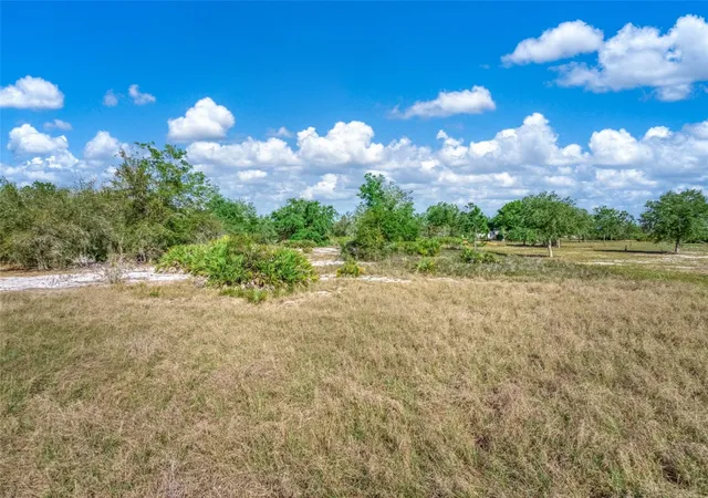2nd image of 523 S Dickey Rd, Avon Park, FL 33825 | MLS# O6395032