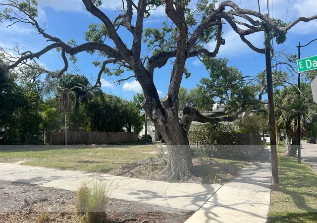 5th image of 404 E Davis Blvd, Tampa, FL 33606 | MLS# TB8492398
