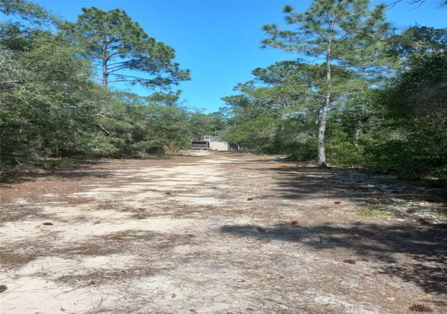 Photo 62 of Single family home for sale at 2477 Thacker Trl, Kissimmee, FL 34747 | MLS# O6395094 | Listing updated on 2026-06-17
