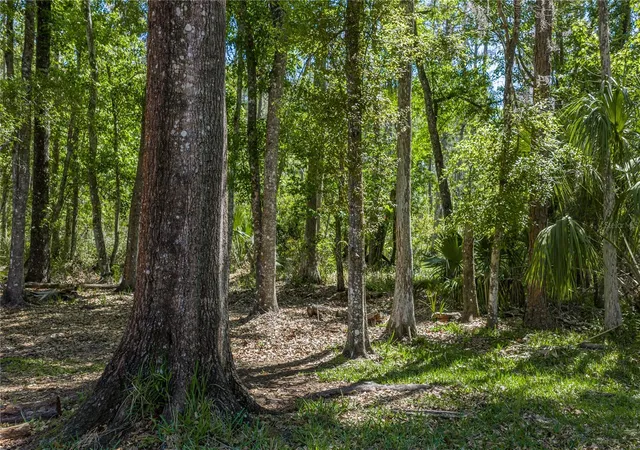 50th image of 8600 Shenandoah Run, Wesley Chapel, FL 33544 | MLS# TB8492515