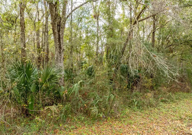 1st image of Lake Lindsey Tract 2 Rd, Brooksville, FL 34601 | MLS# W7884394