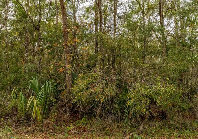 4th image of Lake Lindsey Tract 2 Rd, Brooksville, FL 34601 | MLS# W7884394