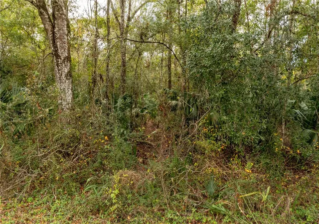 5th image of Lake Lindsey Tract 2 Rd, Brooksville, FL 34601 | MLS# W7884394