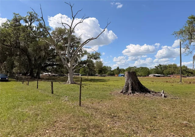 Homes for sale in Dade City, FL | 20512 Ramer Rd, Dade City, FL 33523 | MLS# TB8492667
