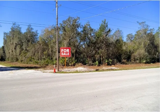 3rd image of Tbd Corner Lot 175Th Street Rd Ne, Citra, FL 32113 | MLS# A4688331