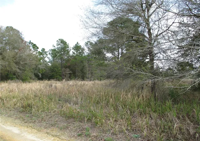 1st image of Sw 24th, Ocala, FL 34481 | MLS# TB8492675