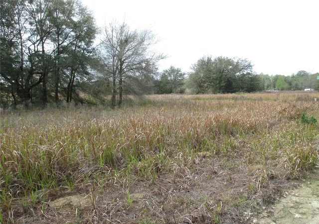 3rd image of Sw 24th, Ocala, FL 34481 | MLS# TB8492675