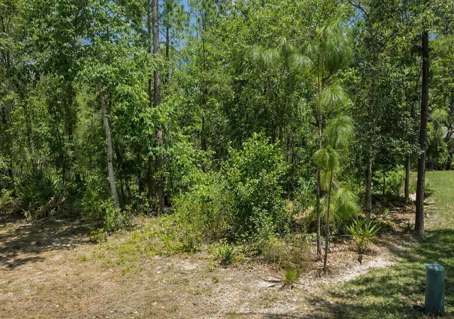 Homes for sale in Homosassa, FL | 17 Speceberry Cir, Homosassa, FL 34446 | MLS# O6395288