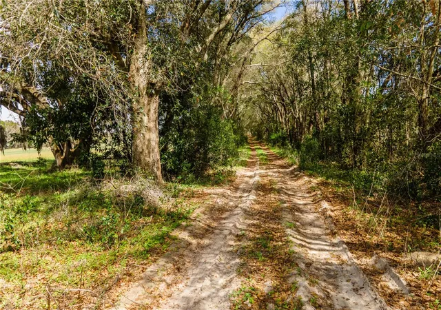 1st image of Tbd Sw 298 St, Newberry, FL 32669 | MLS# OM721905