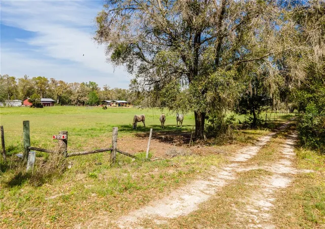 3rd image of Tbd Sw 298 St, Newberry, FL 32669 | MLS# OM721905