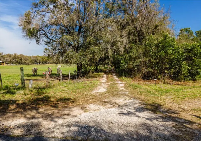 4th image of Tbd Sw 298 St, Newberry, FL 32669 | MLS# OM721905