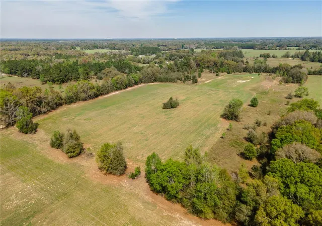 5th image of Tbd Sw 298 St, Newberry, FL 32669 | MLS# OM721905