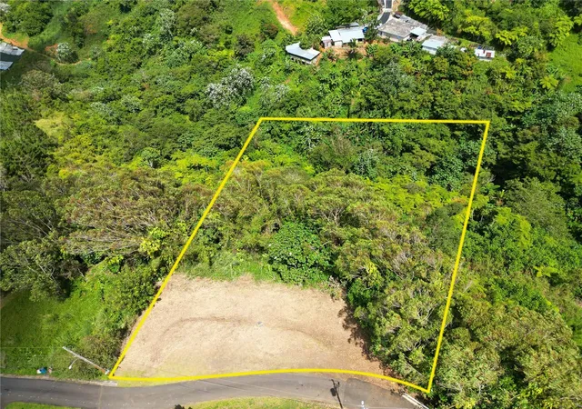 Homes for sale in Naranjito, PR | St 809 Cedro Arriba Sector Santa Teresita Ii #2, Naranjito, PR 00719 | MLS# PR9120330