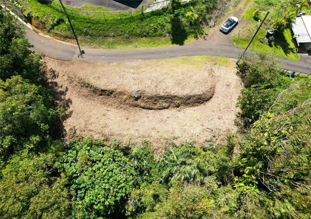 Homes for sale in Naranjito, PR | St 809 Cedro Arriba Sector Santa Teresita Ii #2, Naranjito, PR 00719 | MLS# PR9120330