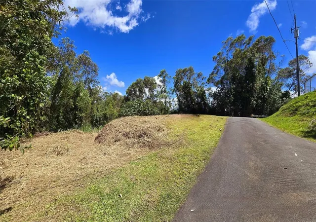 Homes for sale in Naranjito, PR | St 809 Cedro Arriba Sector Santa Teresita Ii #2, Naranjito, PR 00719 | MLS# PR9120330