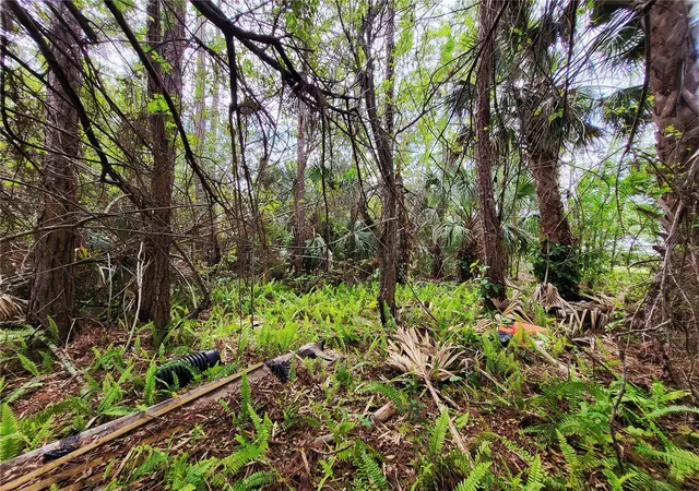 Photo 3 of Land for sale at 1720 Lantana Ct NW, Palm Bay, FL 32907 | MLS# S5146923 | Listing updated on 2026-08-09