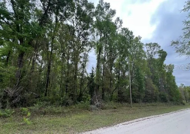 Homes for sale in Branford, FL | Nw 37 Ct, Branford, FL 32008 | MLS# GC539035