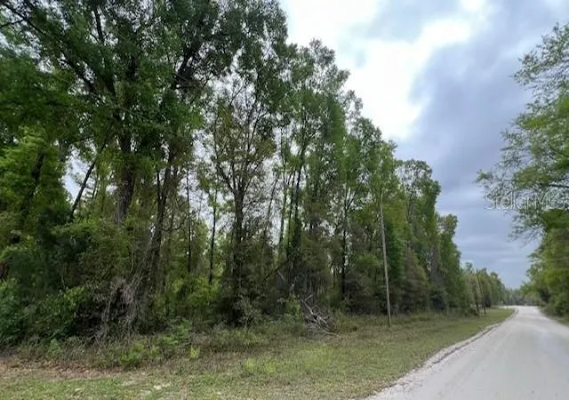Homes for sale in Branford, FL | Nw 37 Ct, Branford, FL 32008 | MLS# GC539035