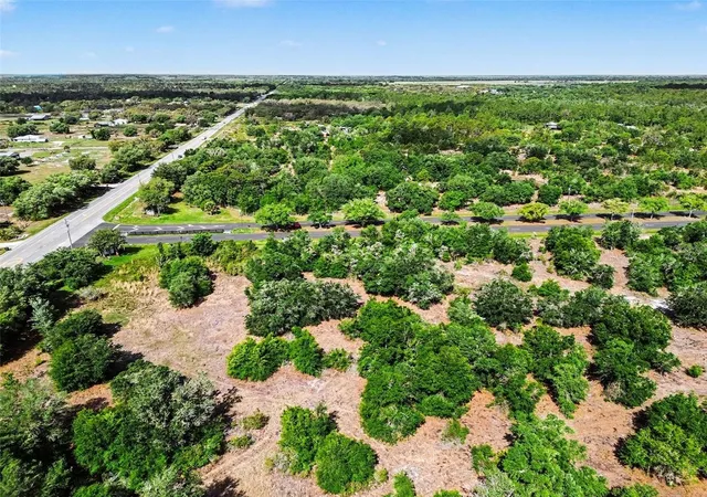 Photo 3 of Land for sale at Sr 64 E, Myakka City, FL 34251 | MLS# A4688367 | Listing updated on 2026-10-05