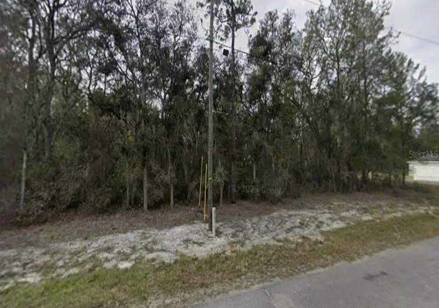 Photo 2 of Land for sale at Tbd Se Fisher Way Pl, Ocklawaha, FL 32179 | MLS# O6395495 | Listing updated on 2026-09-11