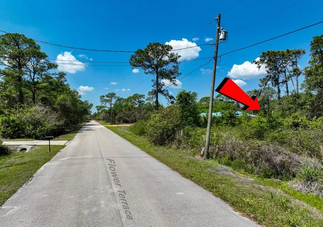 1st image of 2022 Flower Ter, Sebring, FL 33875 | MLS# TB8492972