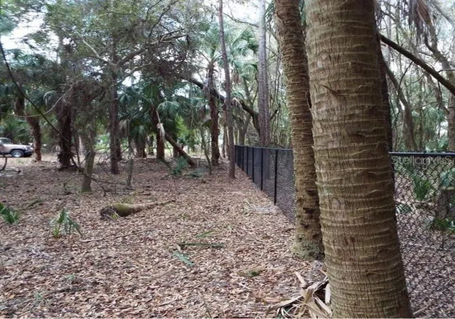 Photo 3 of Land for sale at 17314 Wellsley Ave, Port Charlotte, FL 33954 | MLS# D6146865 | Listing updated on 2026-09-30